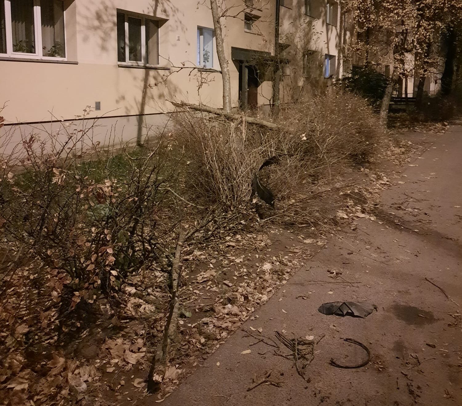 Ar auto drāžas cauri kokiem un krūmiem pie daudzdzīvokļu ēkas
