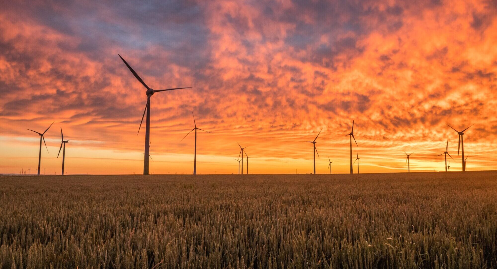 Spārni, vējš un nauda. Dānijas pieredze  atjaunojamās enerģijas projektos