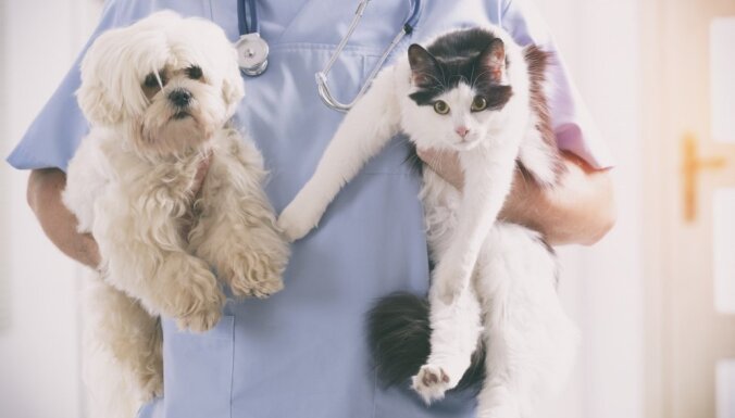 Mājdzīvniekus varēs reģistrēt tikai pie veterinārārstiem