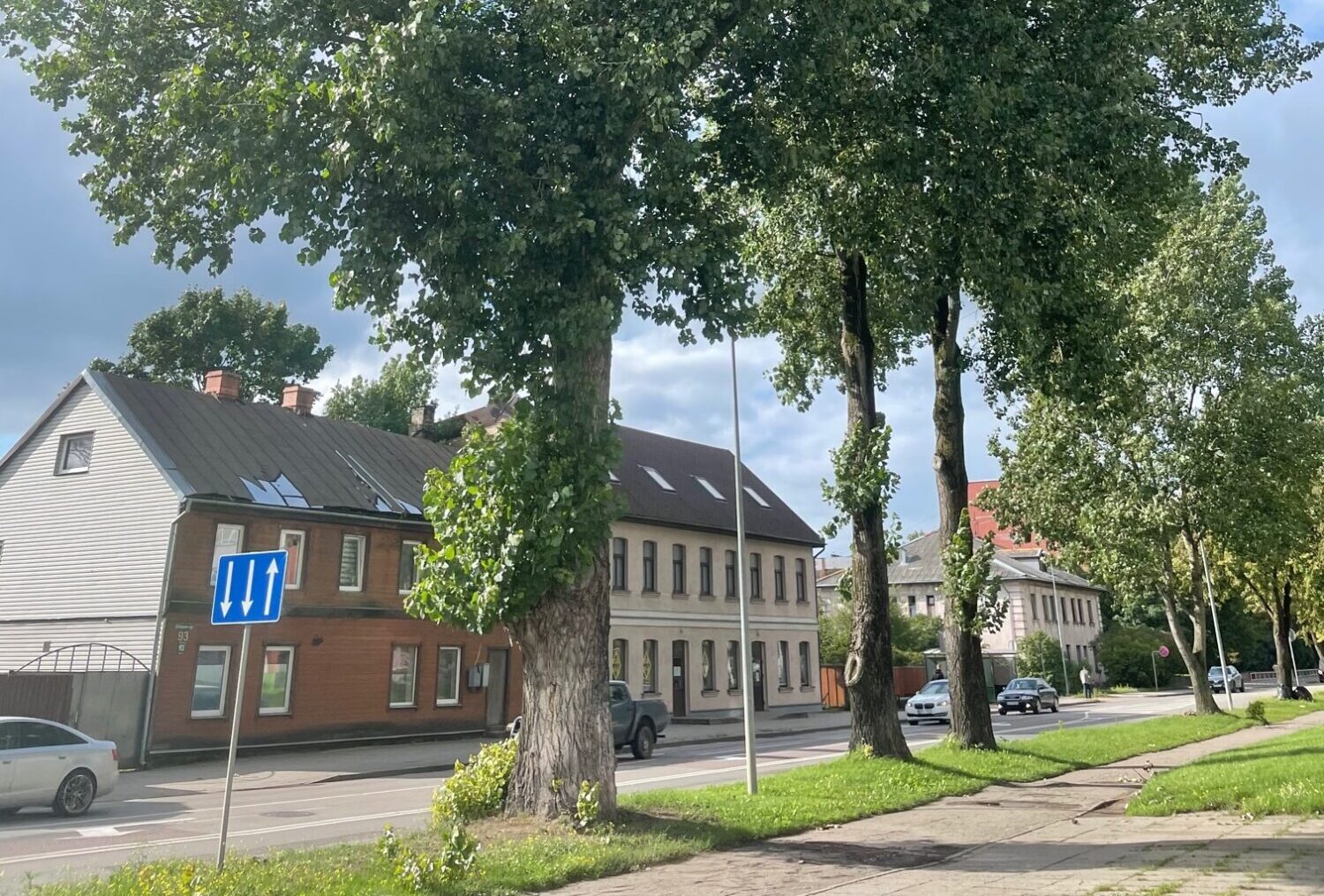 Izvēle: koki pret veloceliņu O. Kalpaka ielā