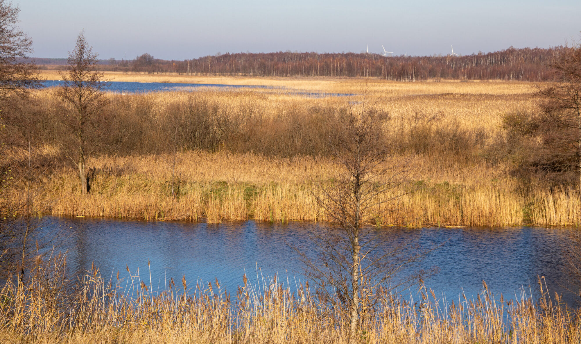 Dabas liegumā “Tosmare” sāk kaļķainā zāļu purva atjaunošanu