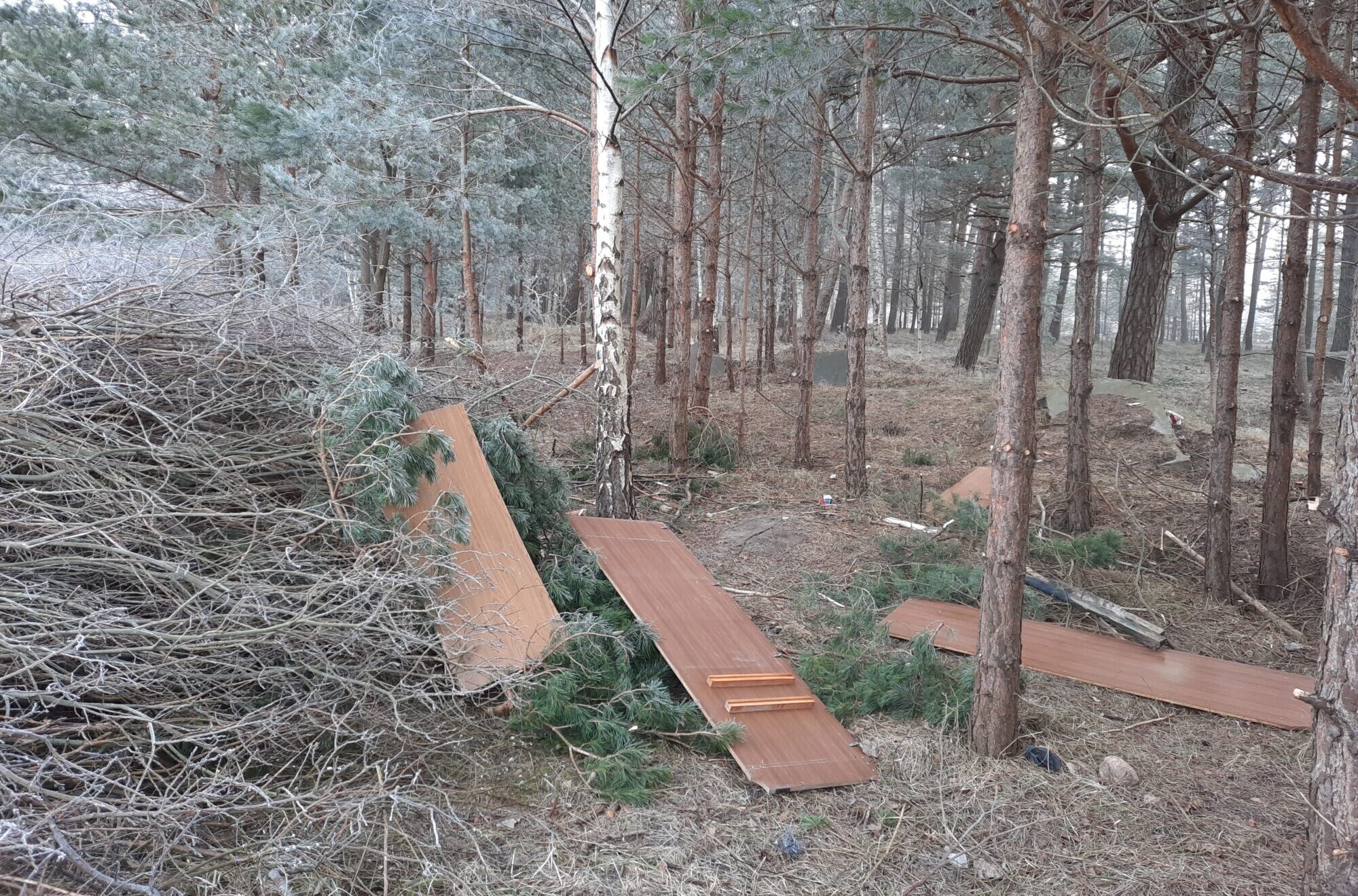 Karostas mežmalu iztīra, bet žagari krāj gružus