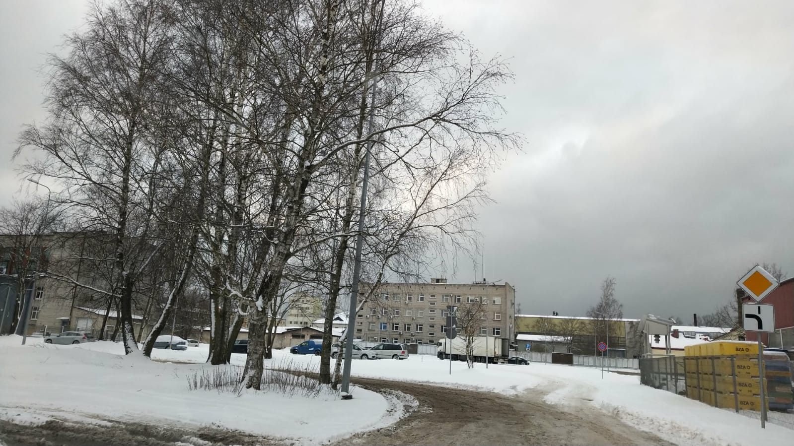 Atbalsta koku ciršanu Muitas ielā