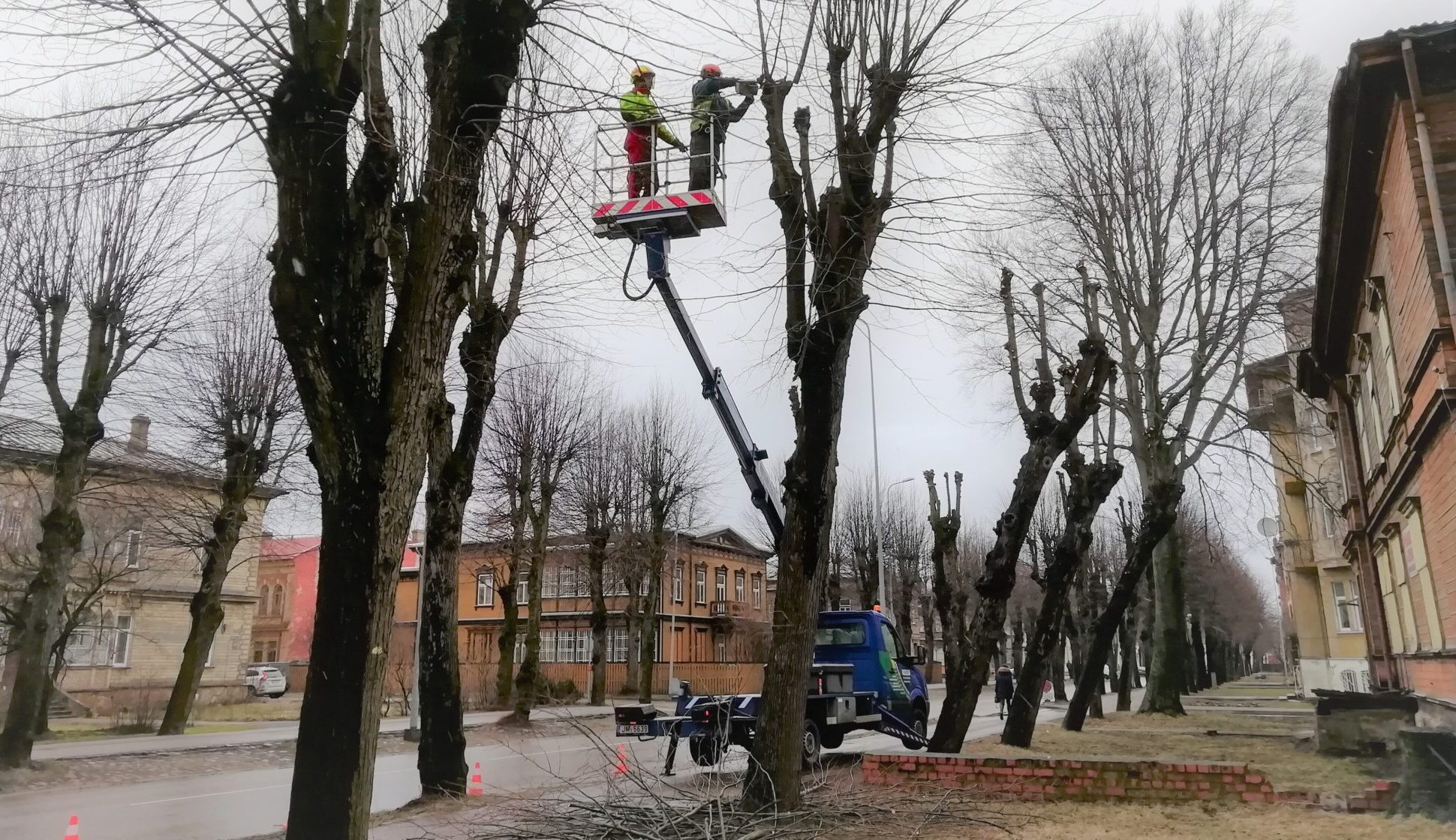 Sākas ligzdojošo putnu saudzēšanas laiks