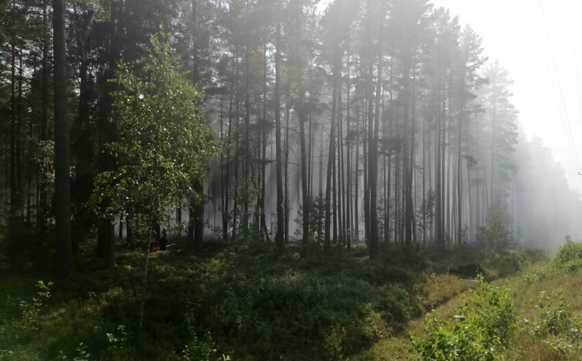 VUGD brīdina par paaugstinātu ugunsbīstamību