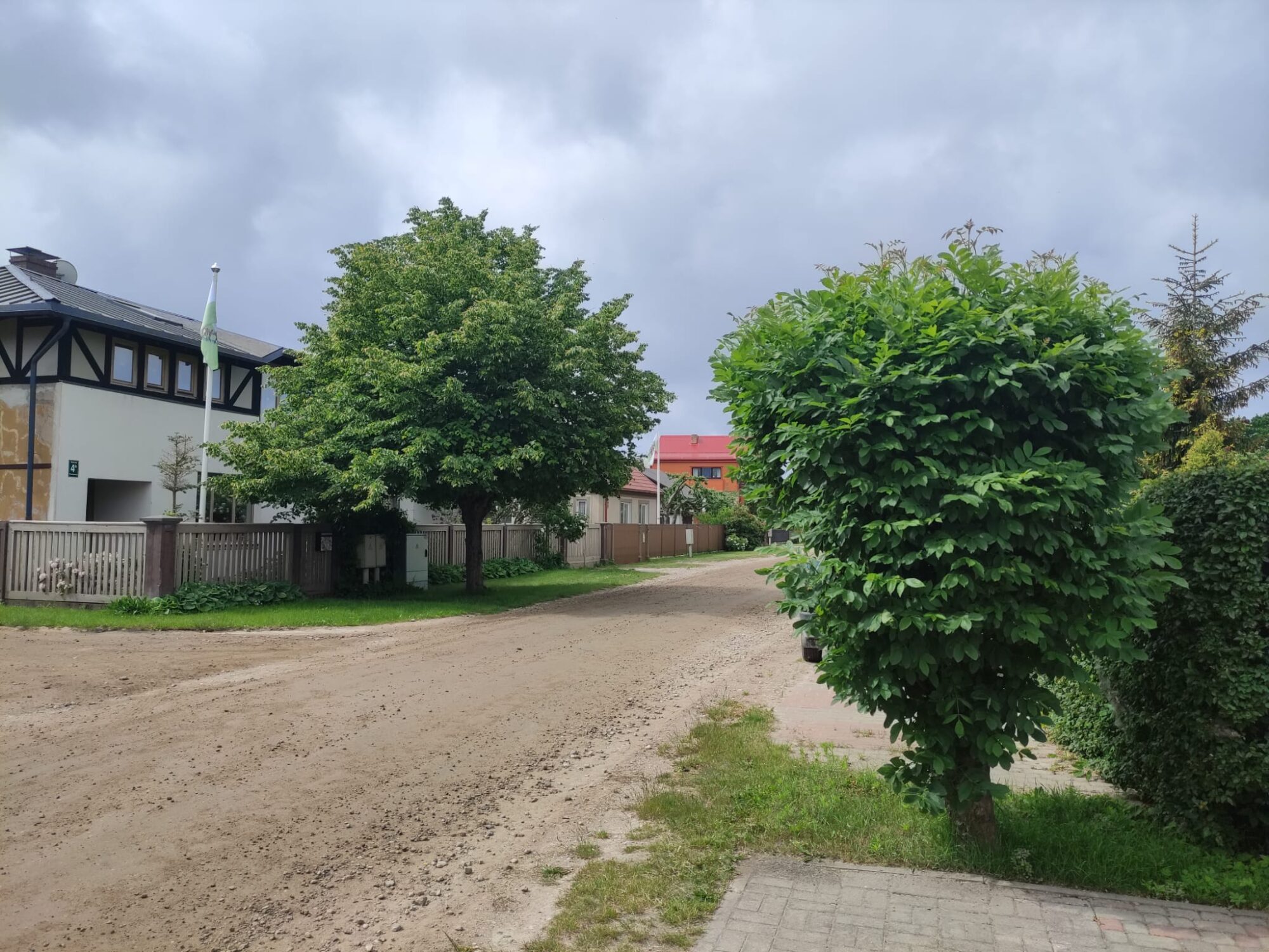 Aicina apspriest plānoto koku ciršanu Pļavu un Ābeļu ielā