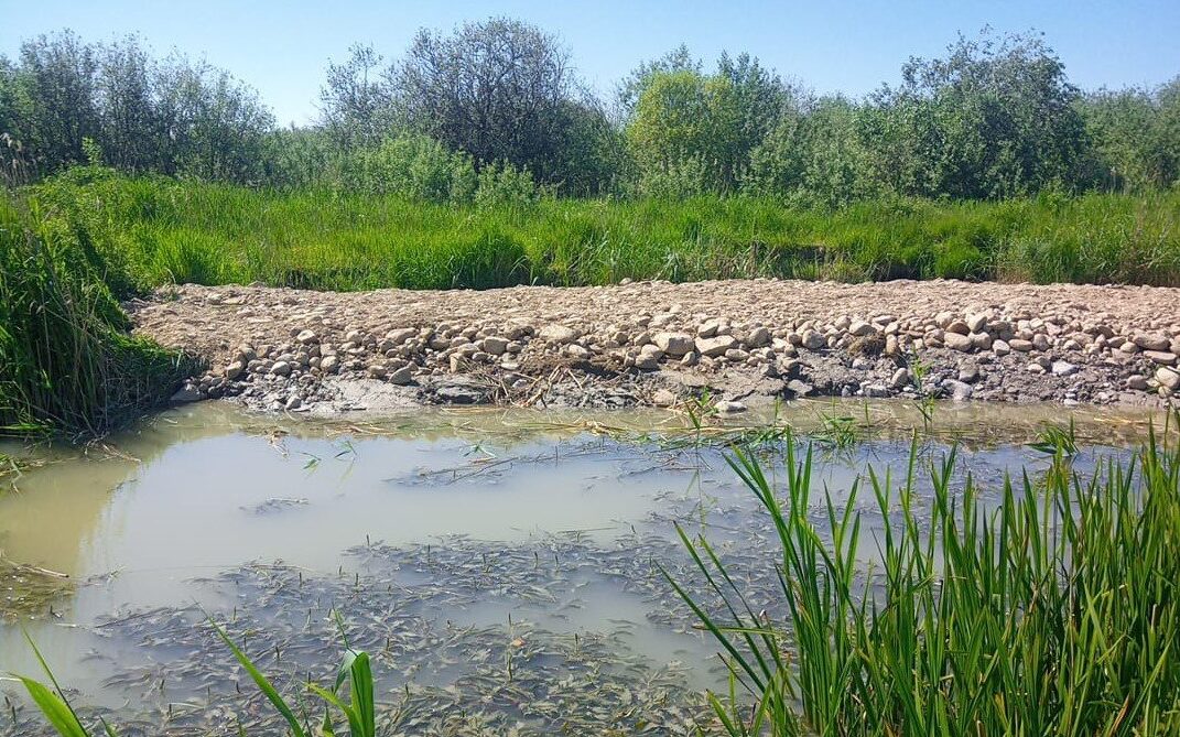 Ļaundari aizbēruši Durbes upes izteku
