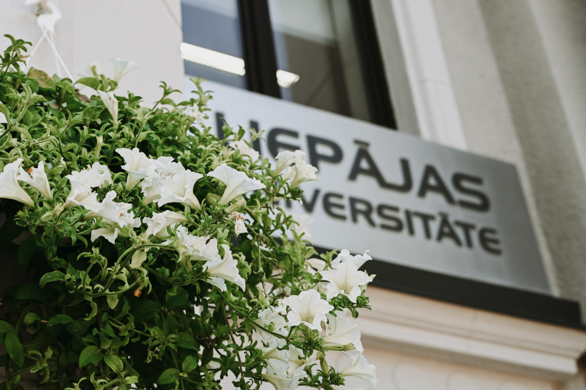 Batņa: LiepU spēcīgās lomas pedagoģijas virzienā dēļ jāpiekrīt universitātes pozīcijai par konsolidāciju ar LU vai vairākām augstskolām