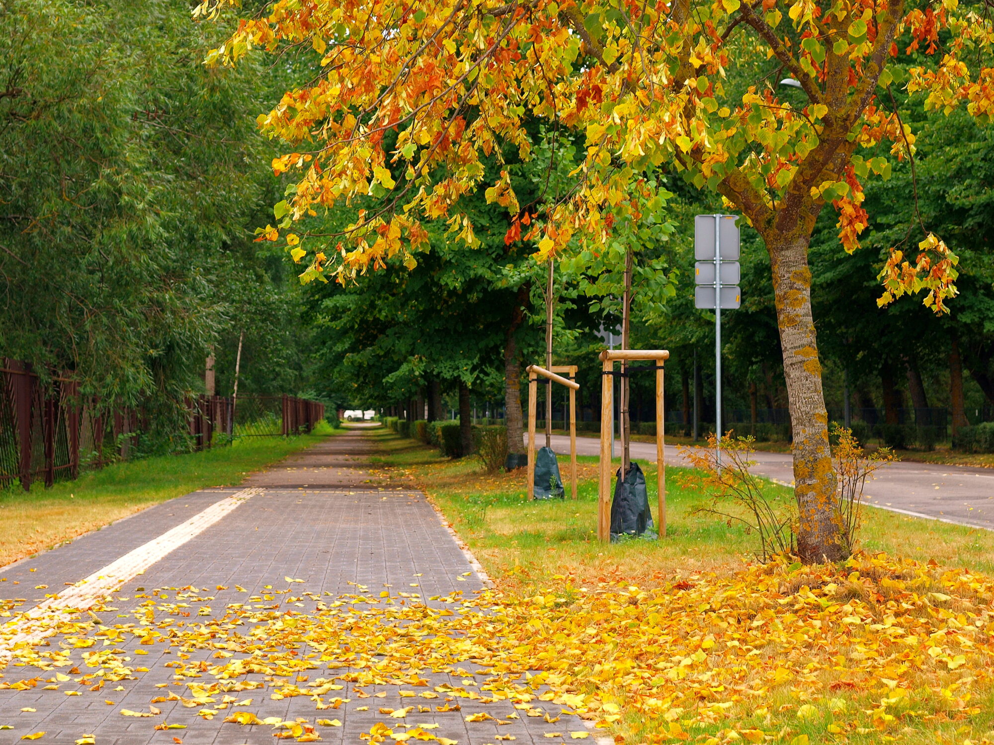 Meteoroloģiskā rudens iestāšanās šogad gaidāma nedēļu vēlāk nekā pērn