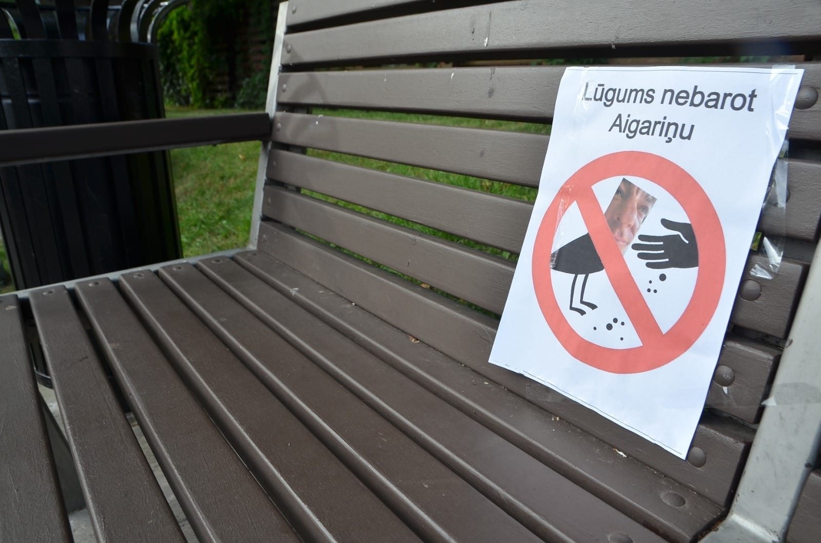 Kas ir Aigariņš, un kāpēc viņu aizliegts barot?