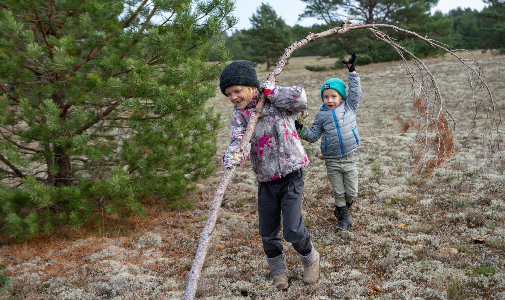 Pāvilostas pelēko kāpu aizstāv ar cirvjiem un zāģiem