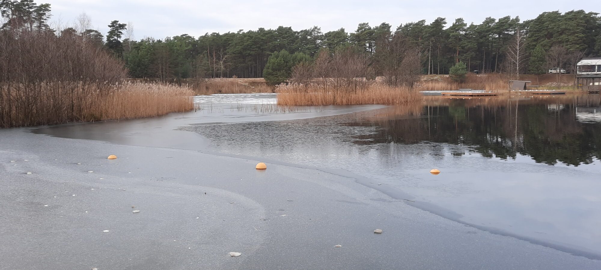 Beberliņos bojas ieziemotas ar nolūku