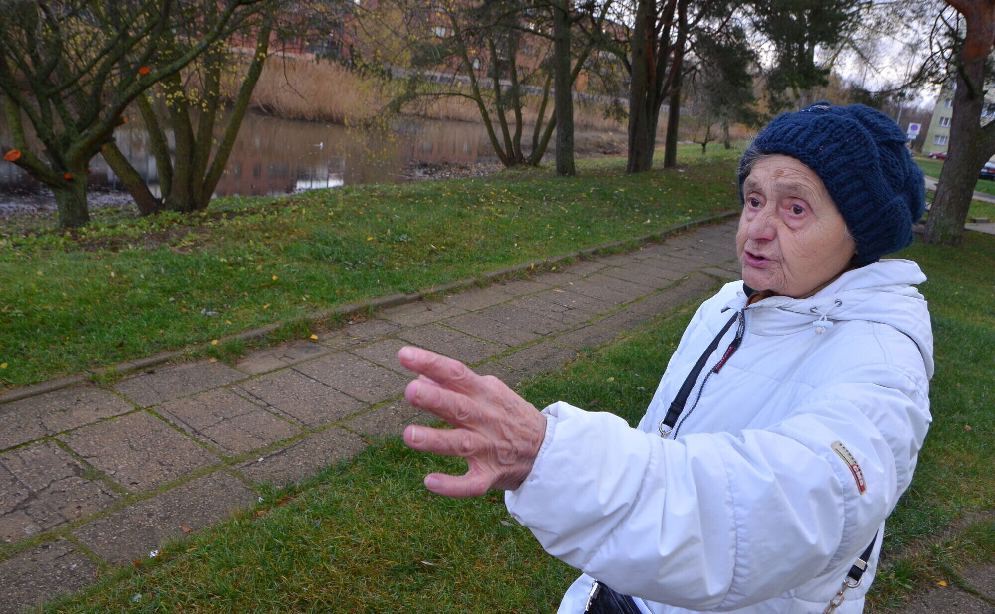 Klaipēdas ielas dīķus iztīrīs, ja budžetā būs nauda