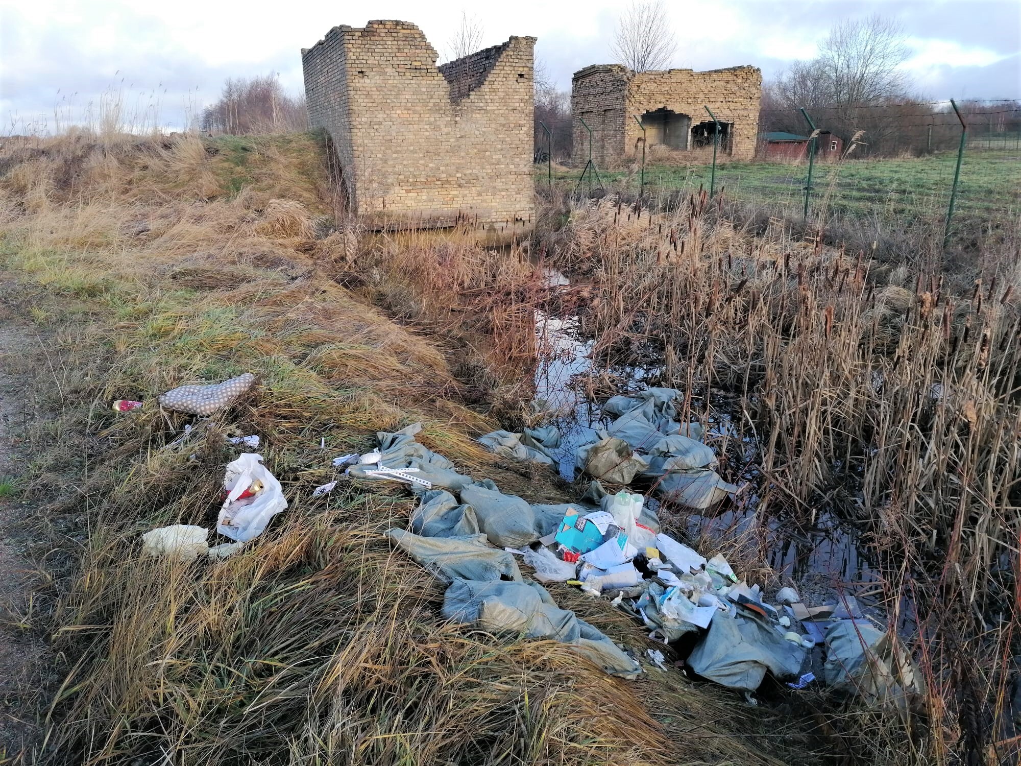 Būvgružu cūkas nedarbs Cimdeniekos pieķerts