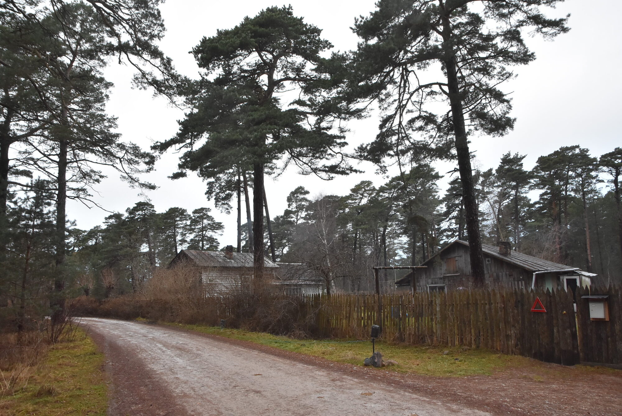 Nākamnedēļ norisināsies Kureļa grupas piemiņas pasākumi