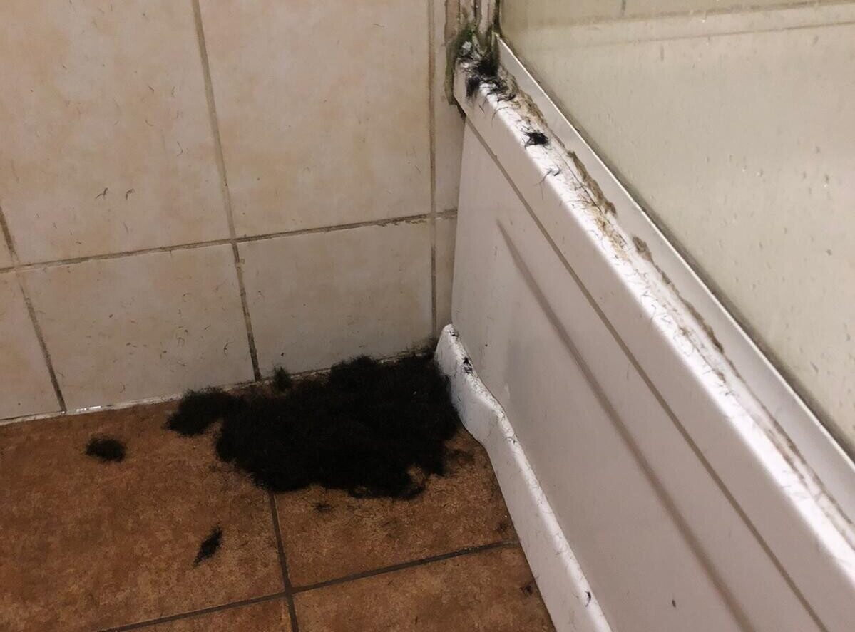 Saplīsušas gultas, salauztas durvis, pelējums un aizdambējušās izlietnes. Studenti bažījas par kopmītņu īres sadārdzinājumu, sūdzas par sadzīves apstākļiem
