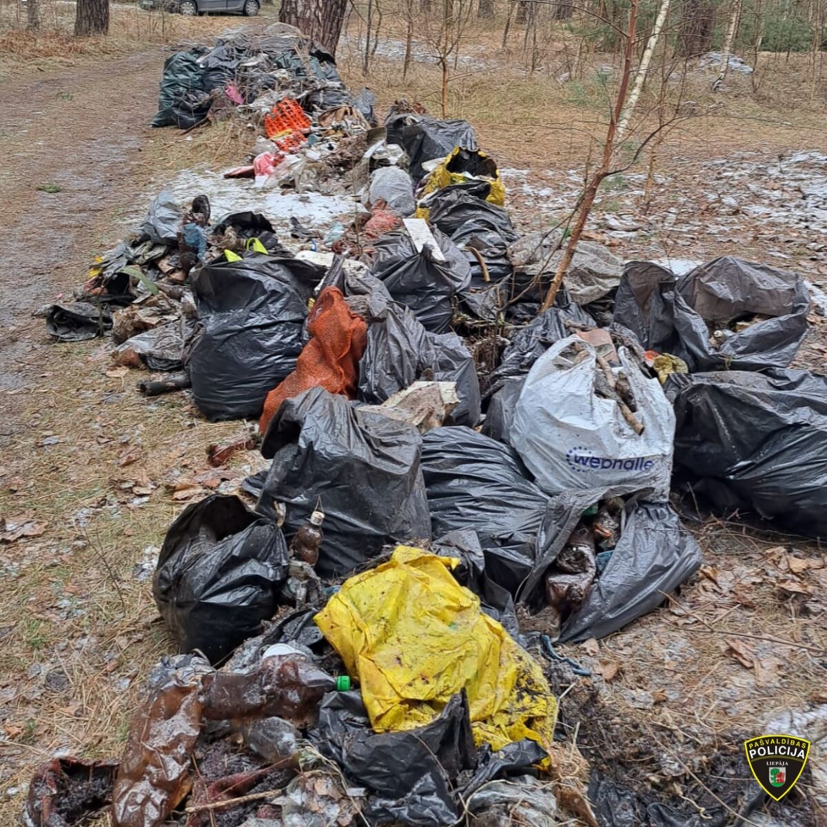 Pašvaldības policija meklē Tosmares mazdārziņu piegružotāju
