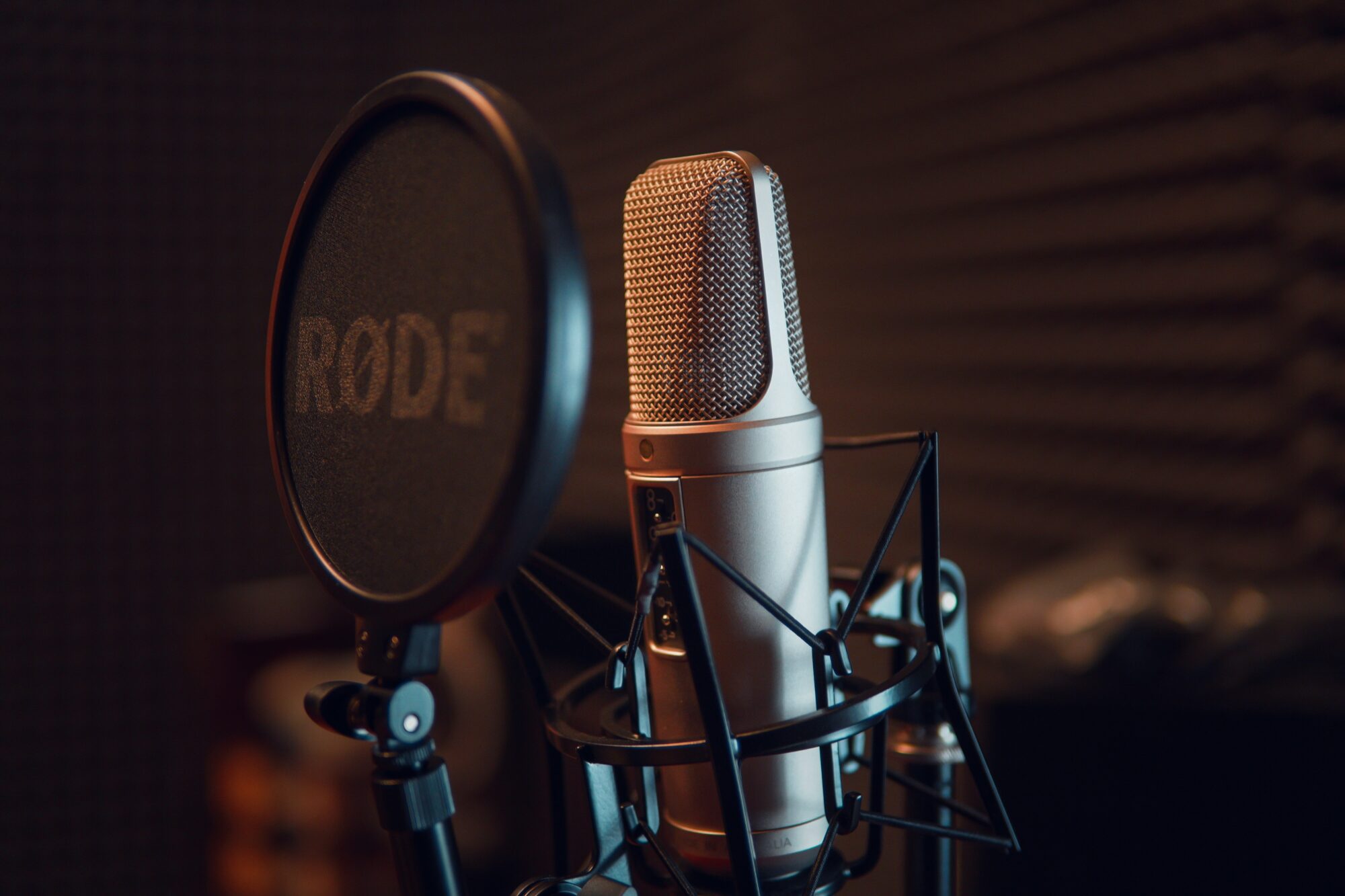 NEPLP izsludinājusi konkursu par apraides tiesību piešķiršanu radio programmas veidošanai Rūjienā, Zilupē un Rucavā