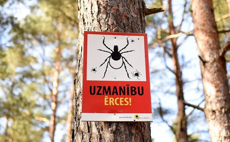 Sākusies ērču sezona – paraugus var nodot bezkontakta punktos visā Latvijā