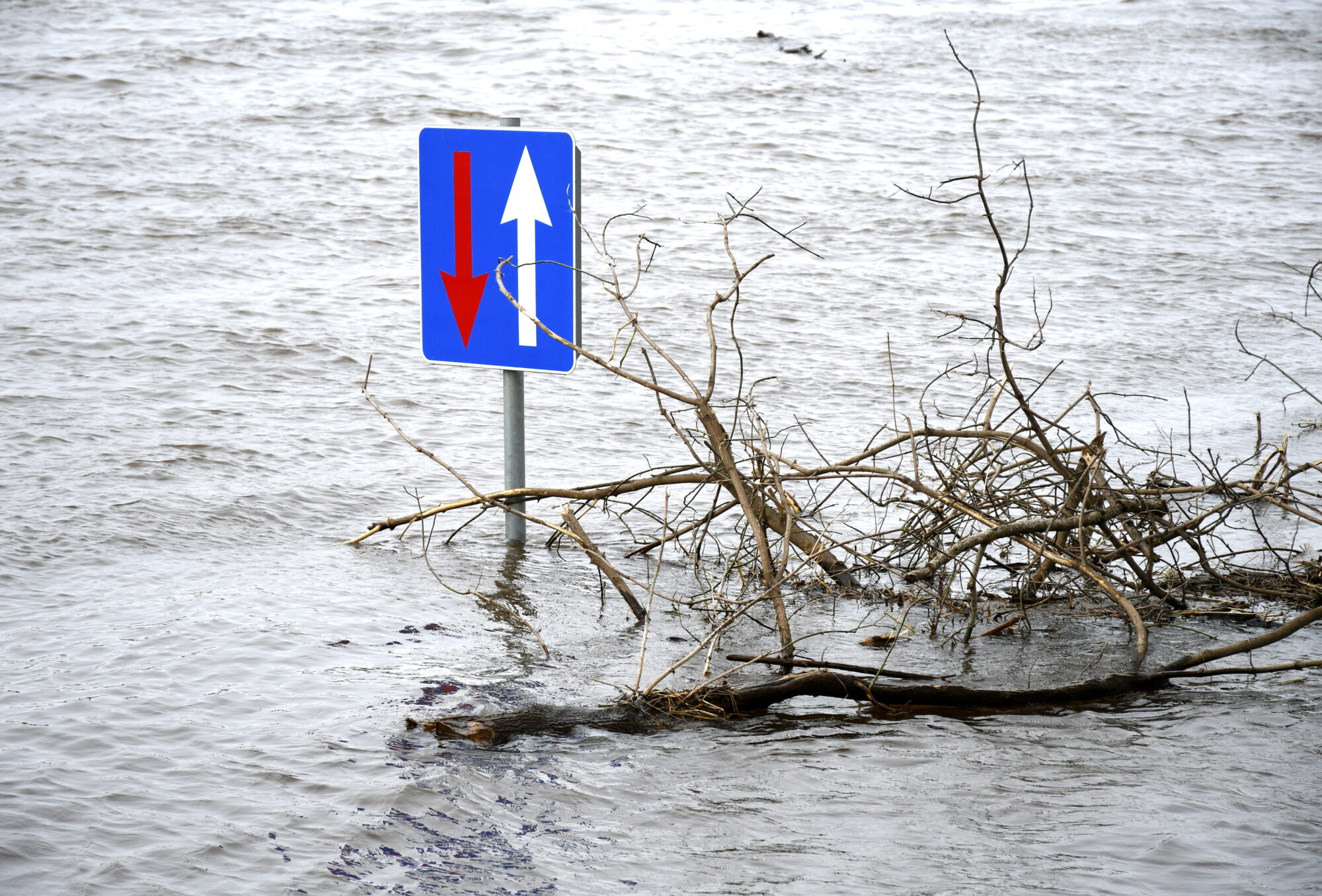 Daugavā sasniegts palu maksimālais ūdens līmenis