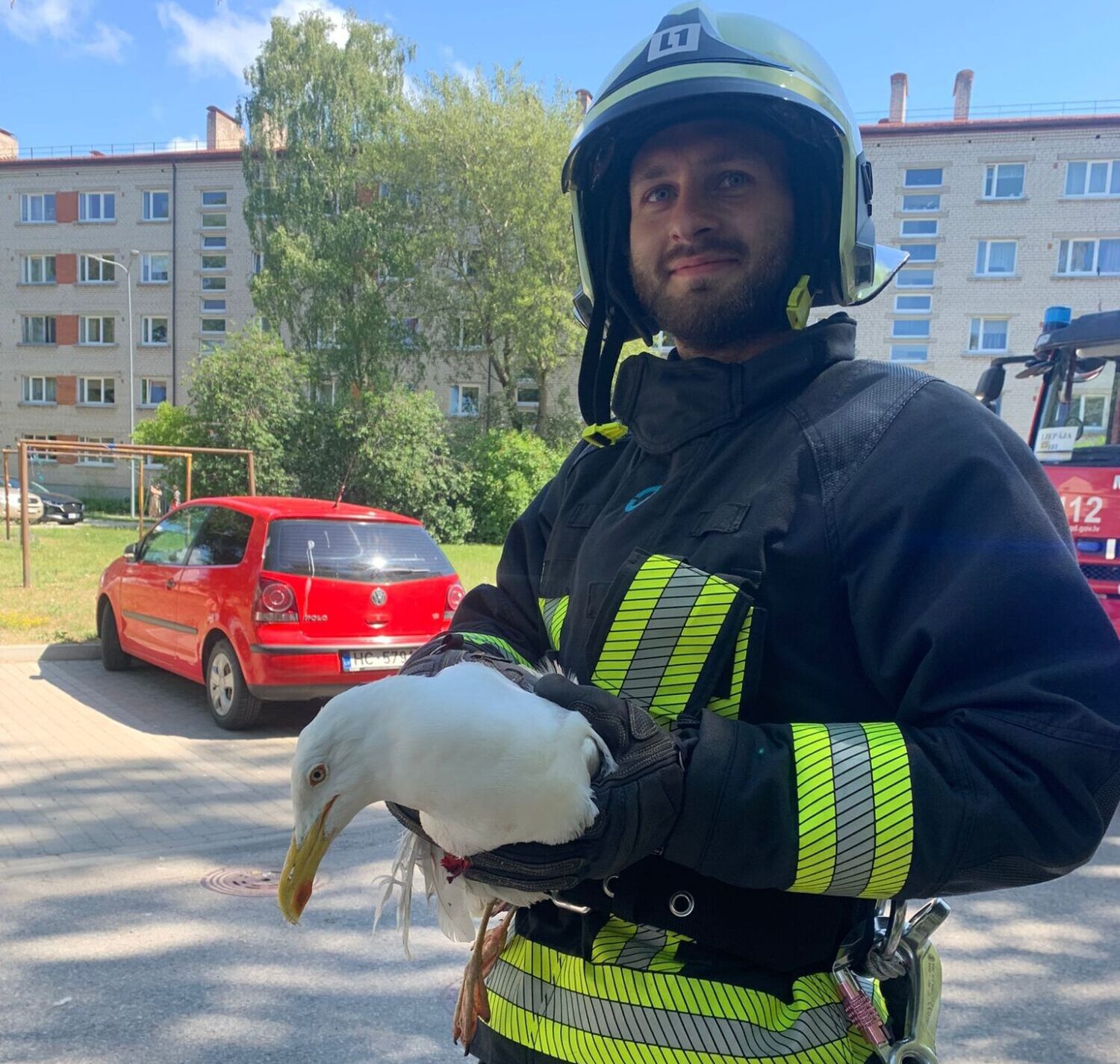 Glābj uz piecstāvu nama jumta iesprūdušu kaiju un nodod veterinārārstam