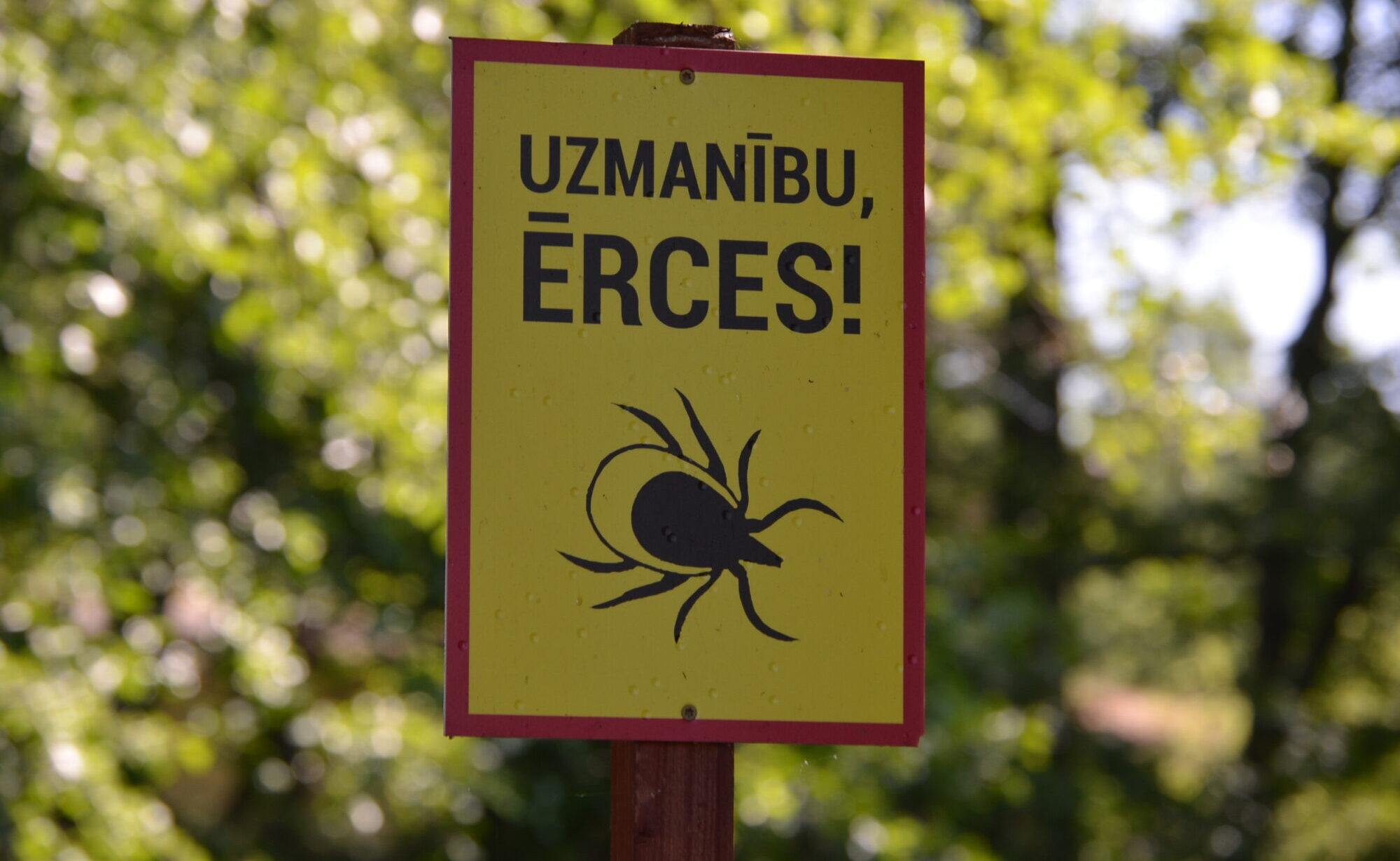 Bieds visos laikos. Ērce burciņā uz Rīgu vairs nav jāved
