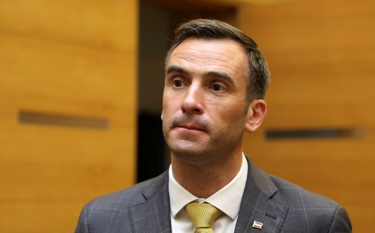 “Progresīvo” līderi EP vēlēšanās būs Pinto un Staķis