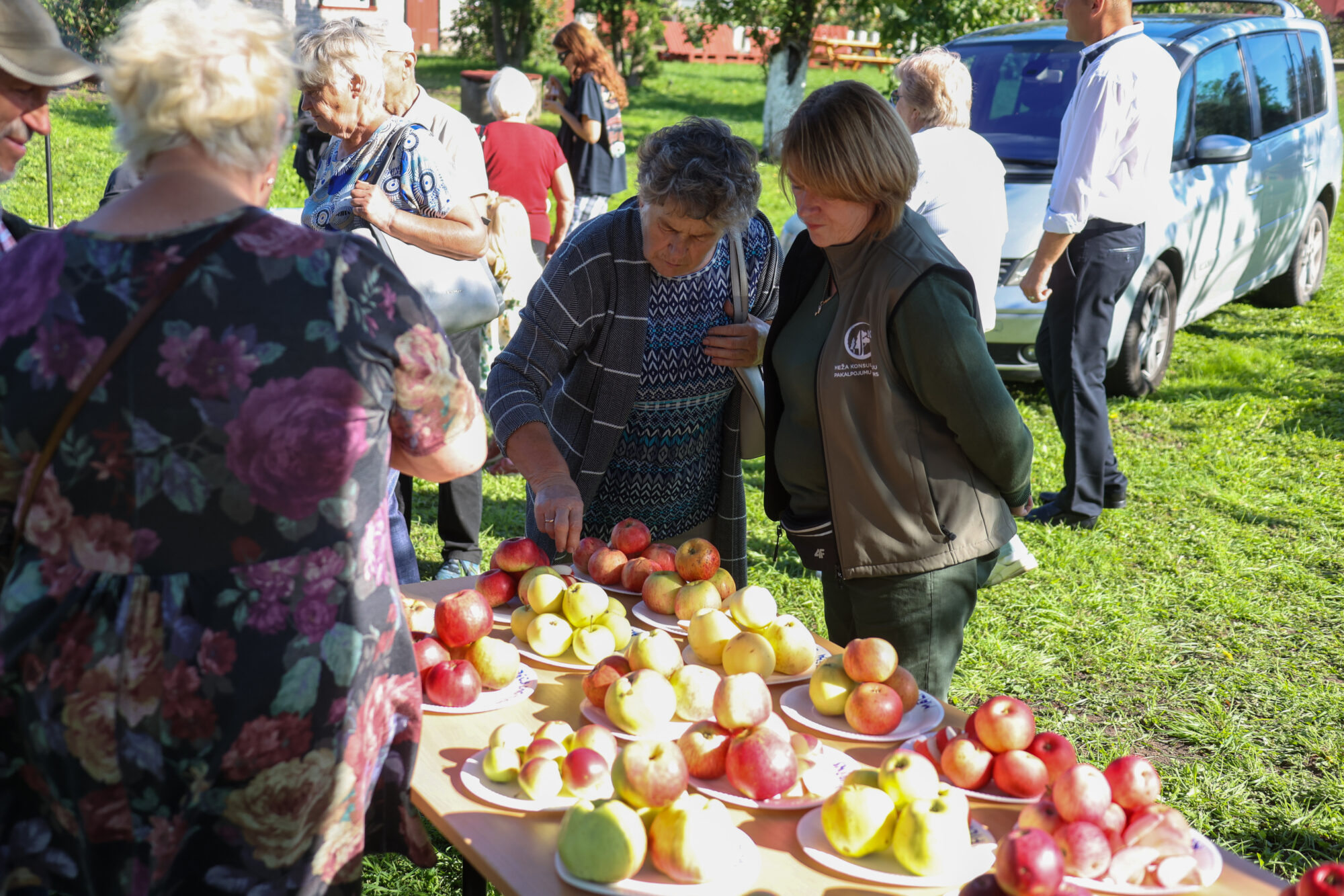 Durbes ābolu rekordistam – 845 grami!