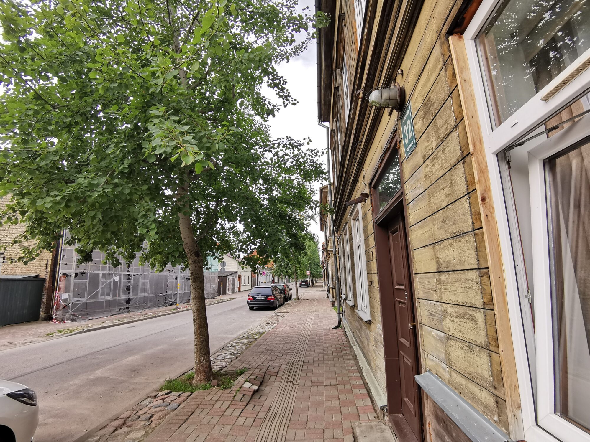 Apšu ielas apšu vietā stādīs citus kokus