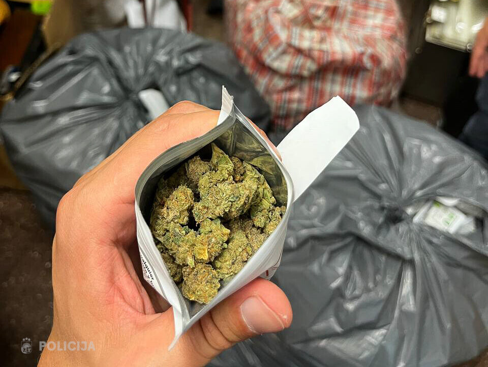 Policija sadarbībā ar Spāniju novērsusi 49 kilogramu marihuānas ievešanu Latvijā