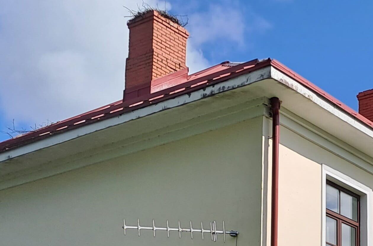 Vecpilī atļauts nojaukt stārķa ligzdu
