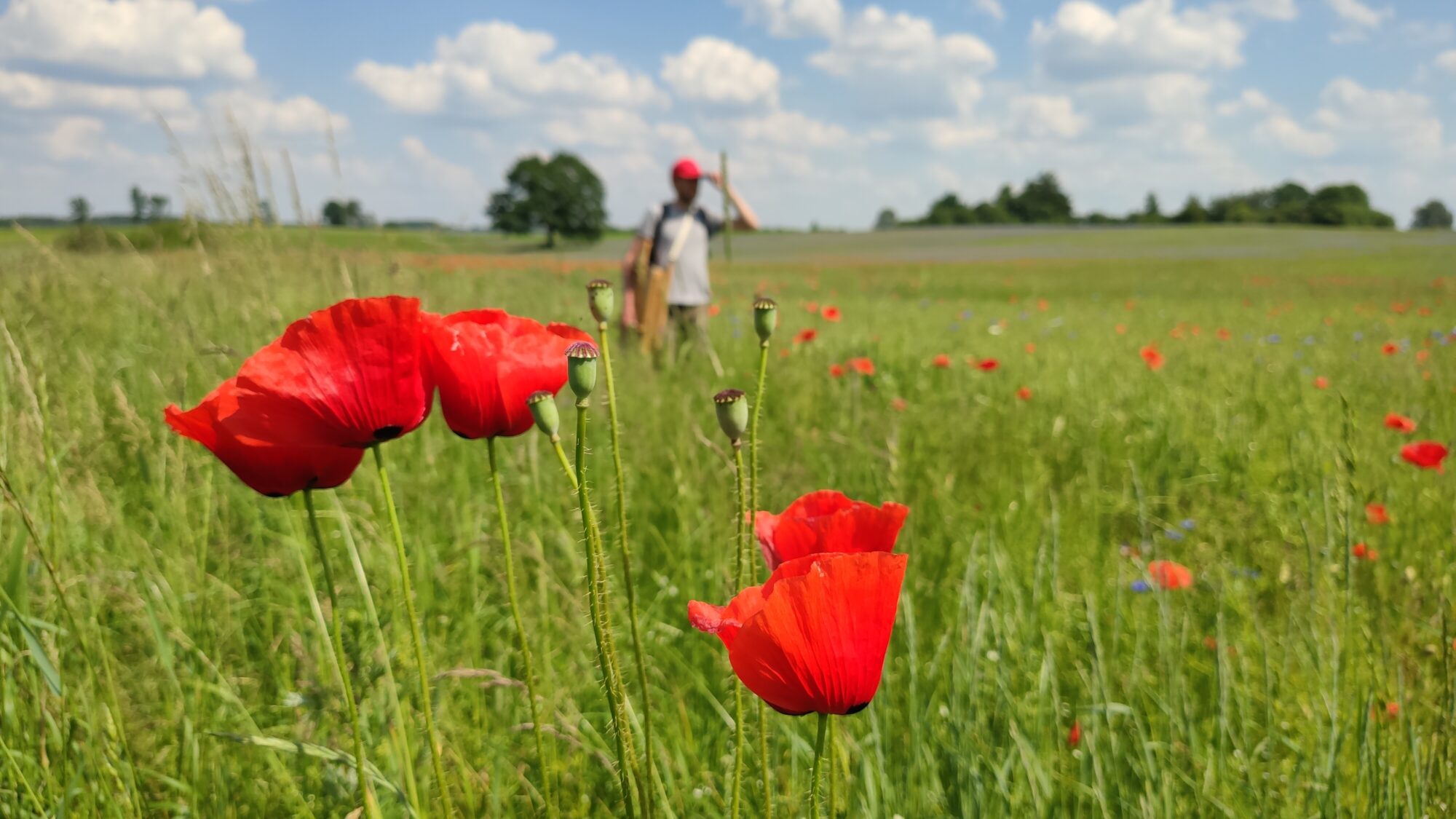 Liepājas Latviešu biedrības nams aicina uz Jāņa Judina gleznu izstādi “Mīlot Latviju”
