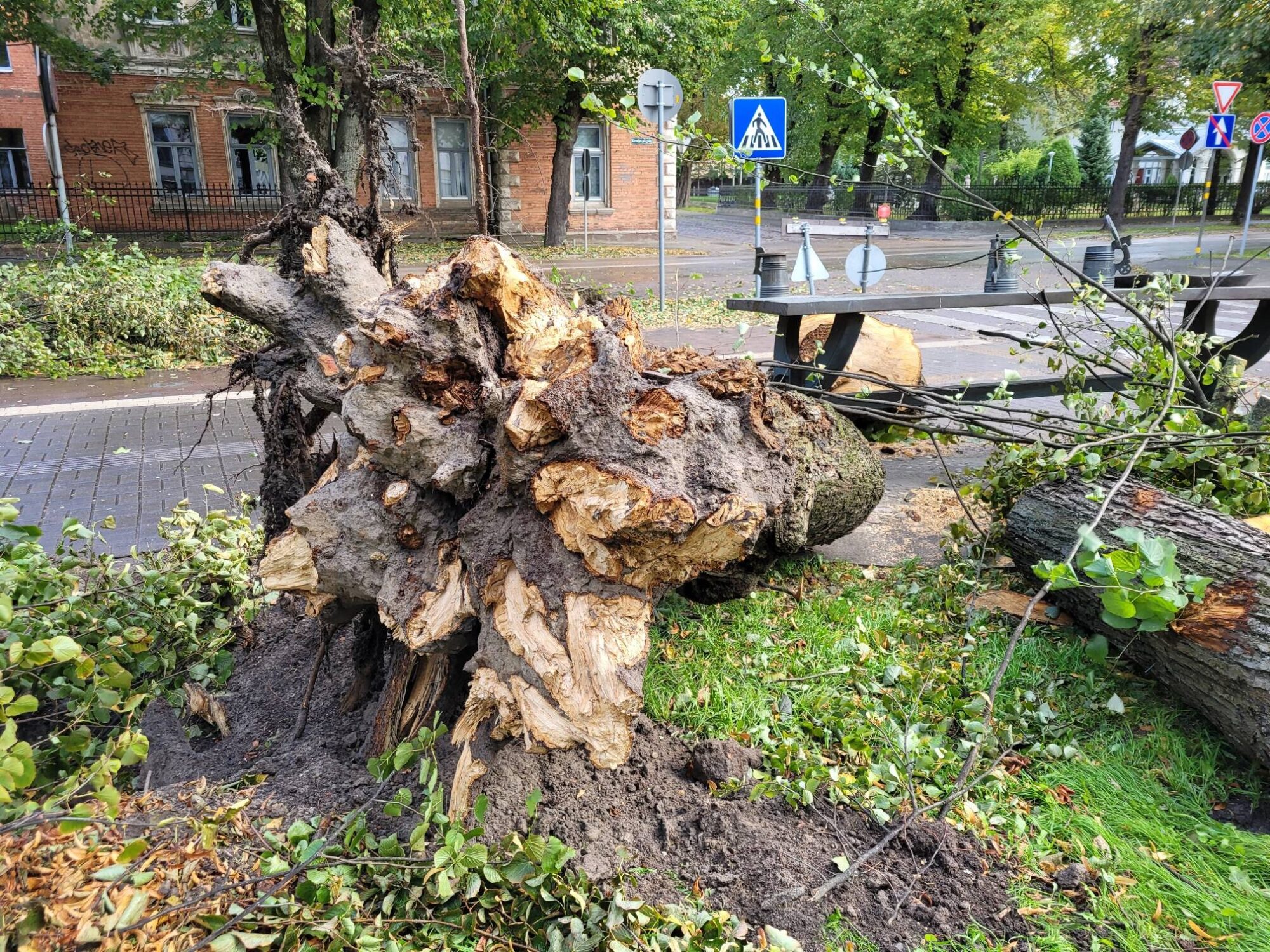 Foto un video: Vētra lauzusi kokus un rāvusi karogus