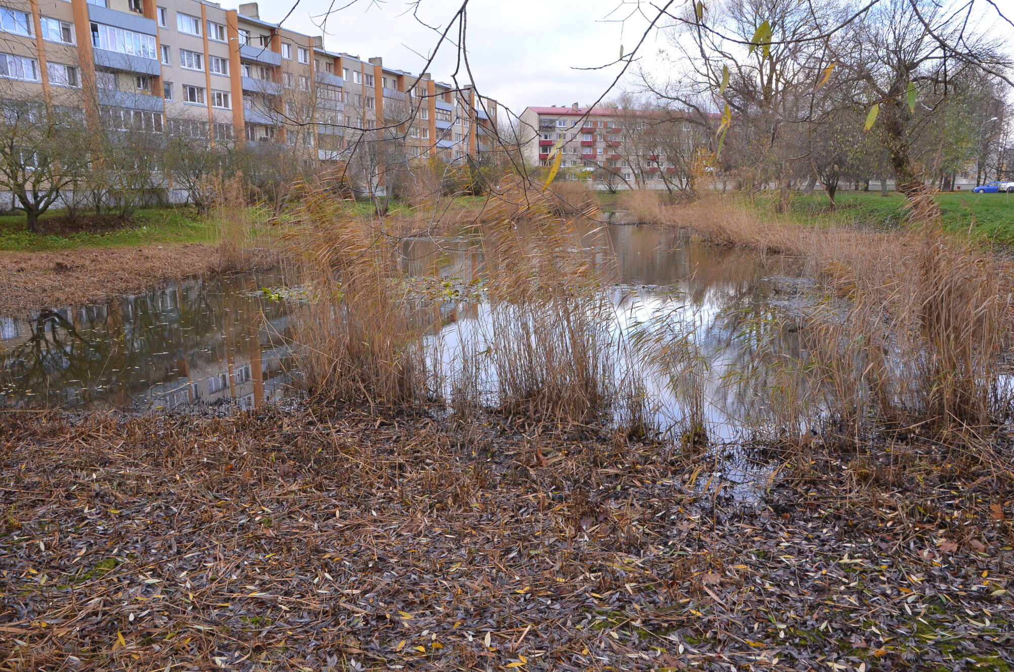 Klaipēdas ielas dīķu tīrīšanas būvprojektam nepietiek naudas