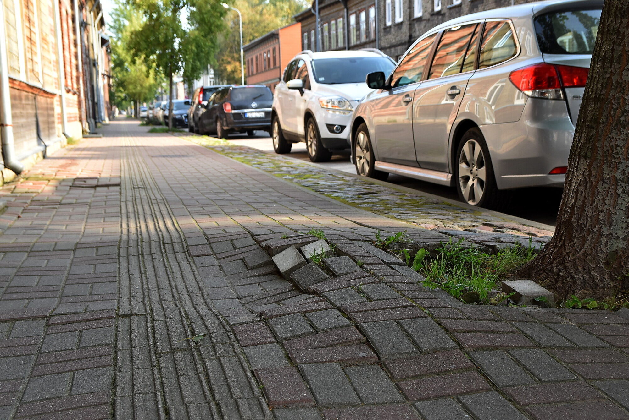 Apses sakņu dēļ grūtības atvērt nama ārdurvis