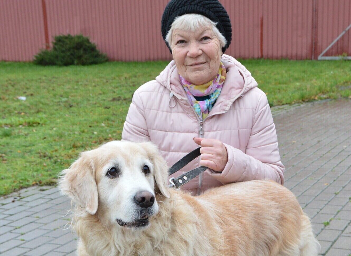 Nikas iecienītais medījums – akmeņi