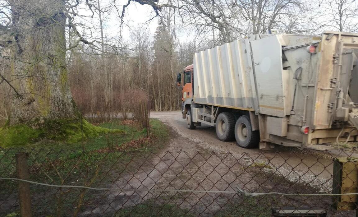 Cīravas pagasta iedzīvotāji sākuši vākt parakstus Aptiekas dižozola saglabāšanai