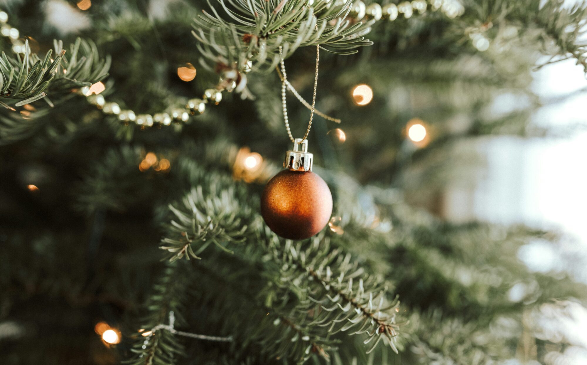 Dienvidkurzemes novadā iedegsies Ziemassvētku eglītes