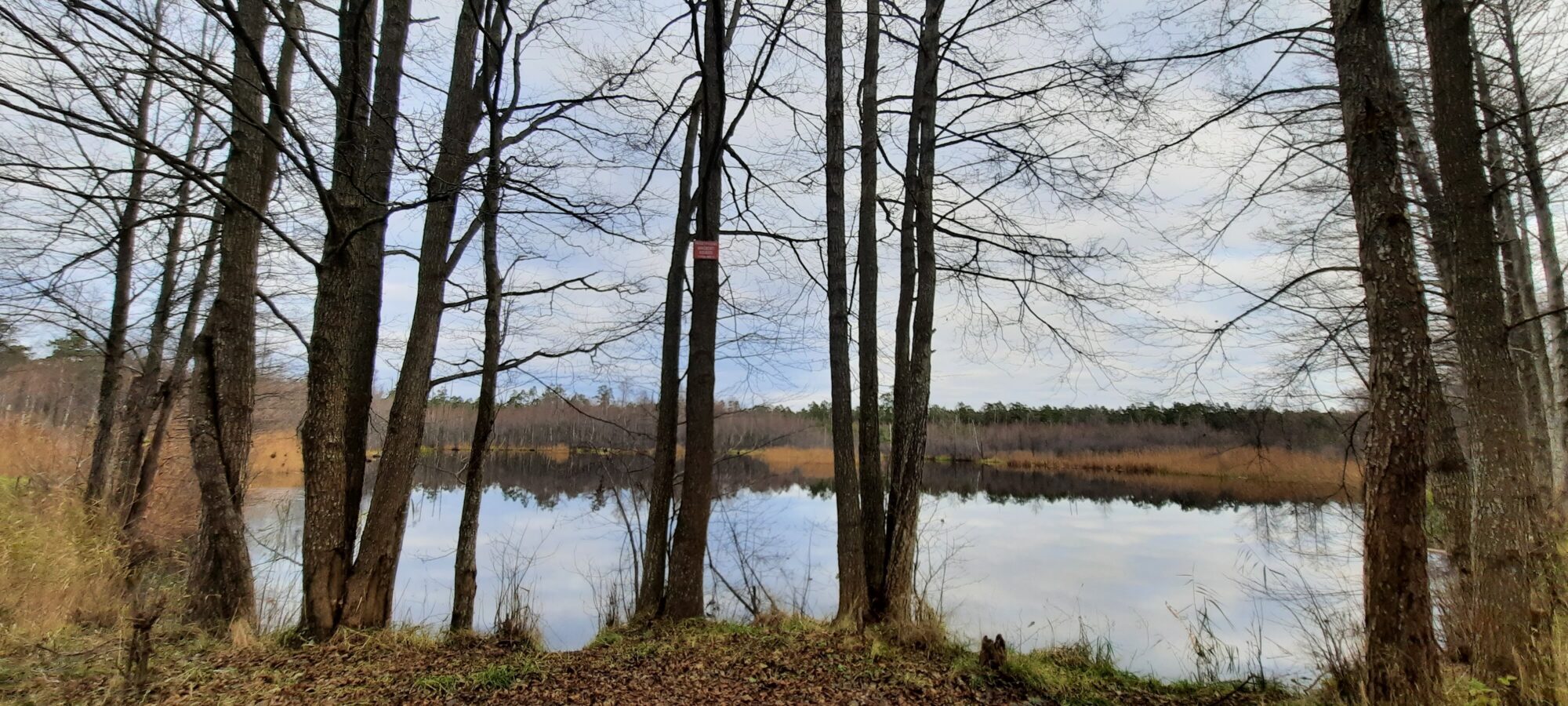 Kāds patvaļīgi privatizējis Volhovas dīķi