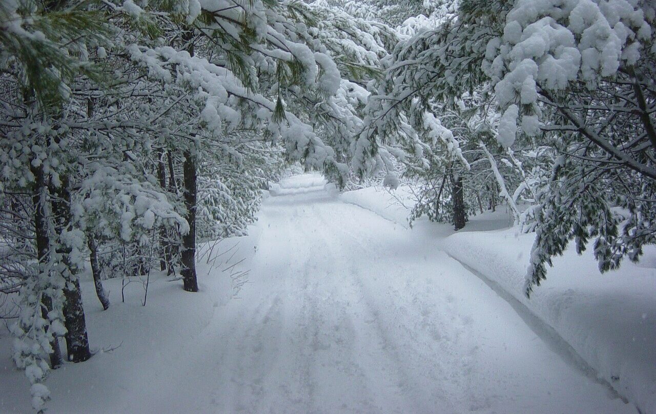 Naktī Latvijas rietumu daļā gaisa temperatūra var pazemināties līdz -15 grādiem