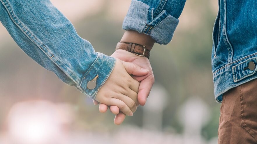 Saeima nobalso par partnerības institūta ieviešanu