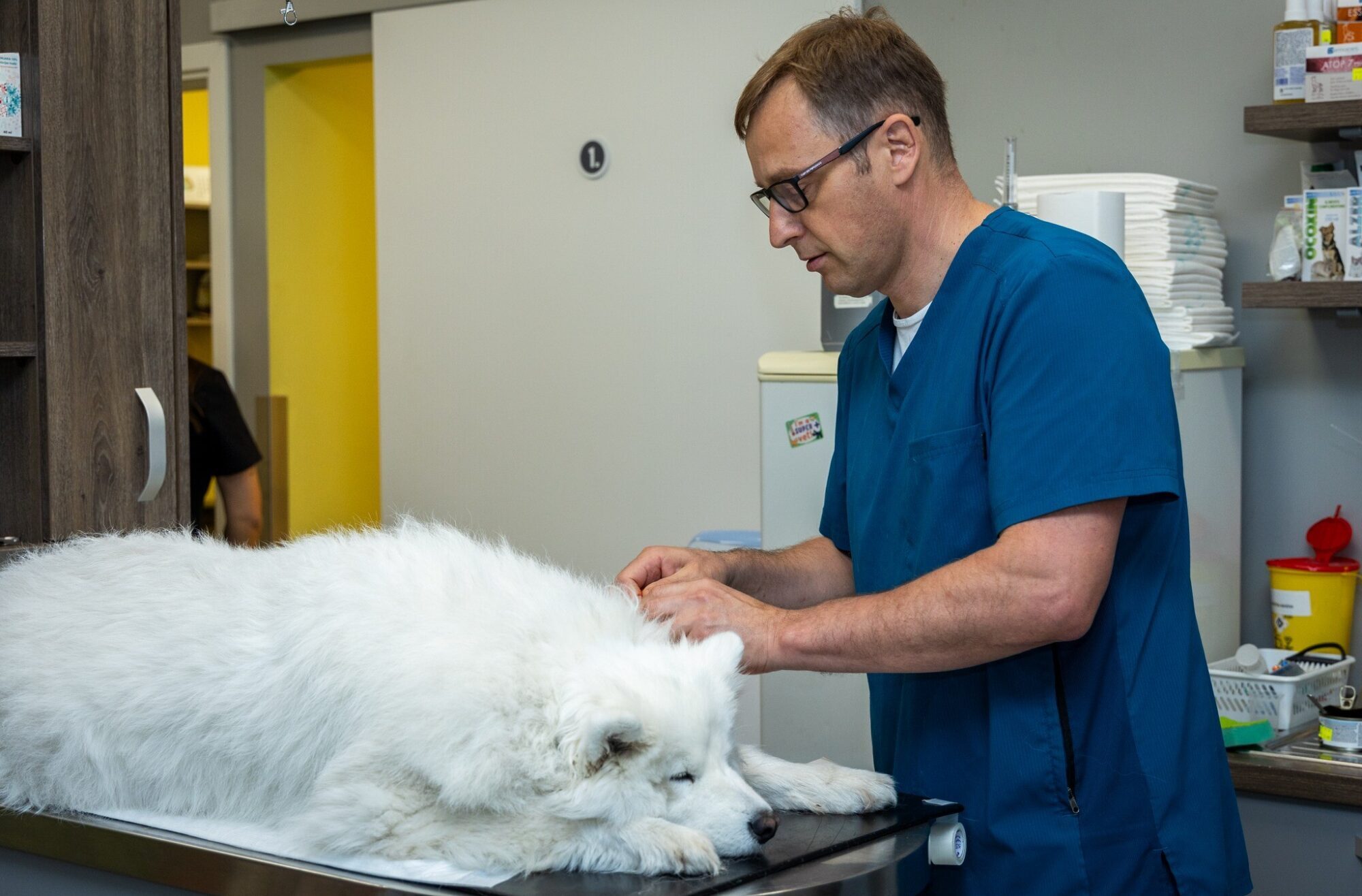 Gada labākais veterinārārsts – grobiņnieks Gatis Kalniņš
