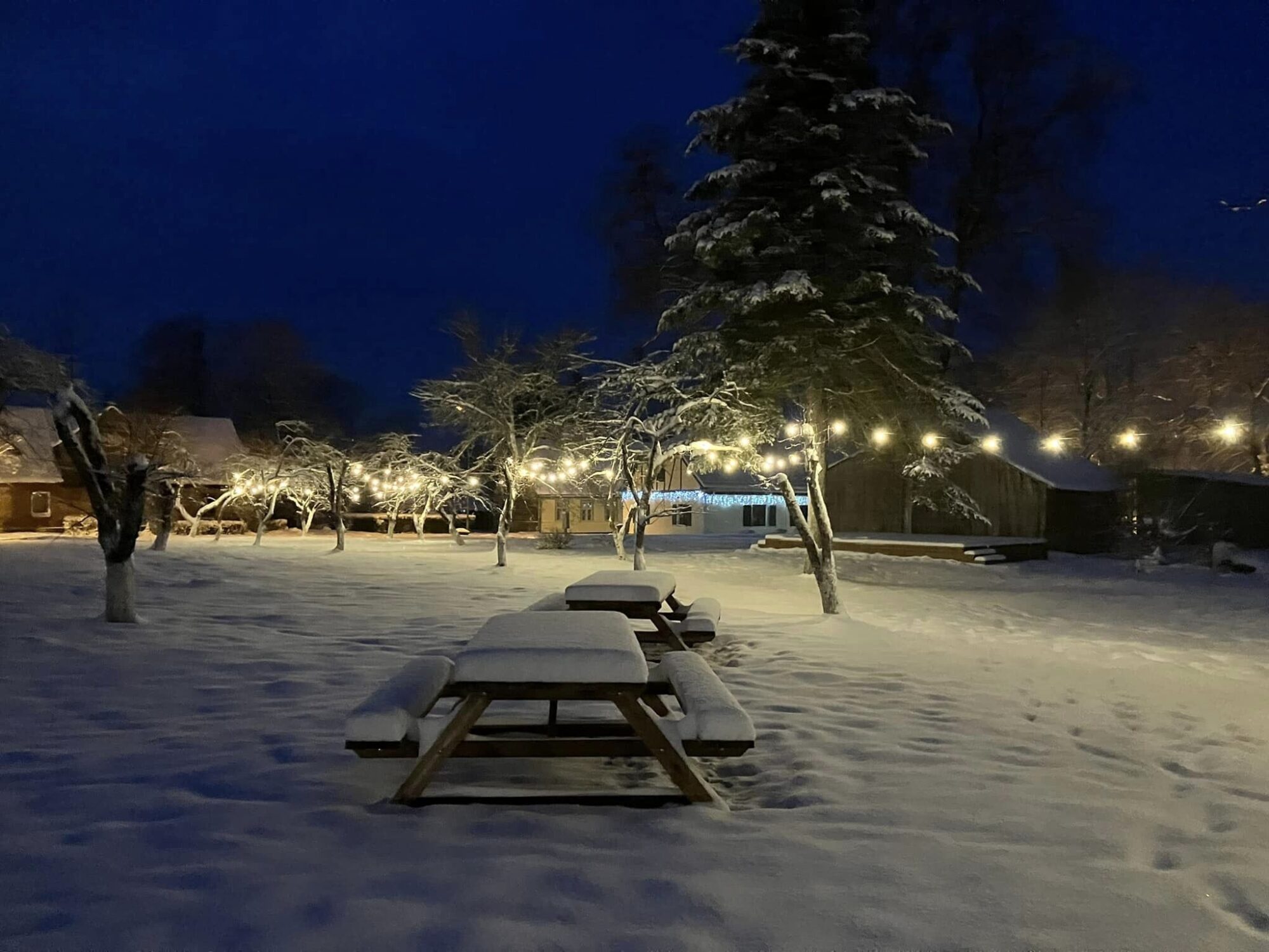 Grib grila namiņus Klēvera dārzā