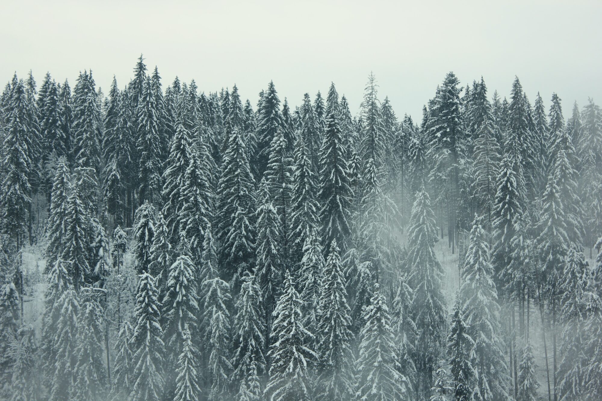 Līdz šim decembrī gaisa temperatūra svārstījusies tie ievērojami zem, te nedaudz virs normas