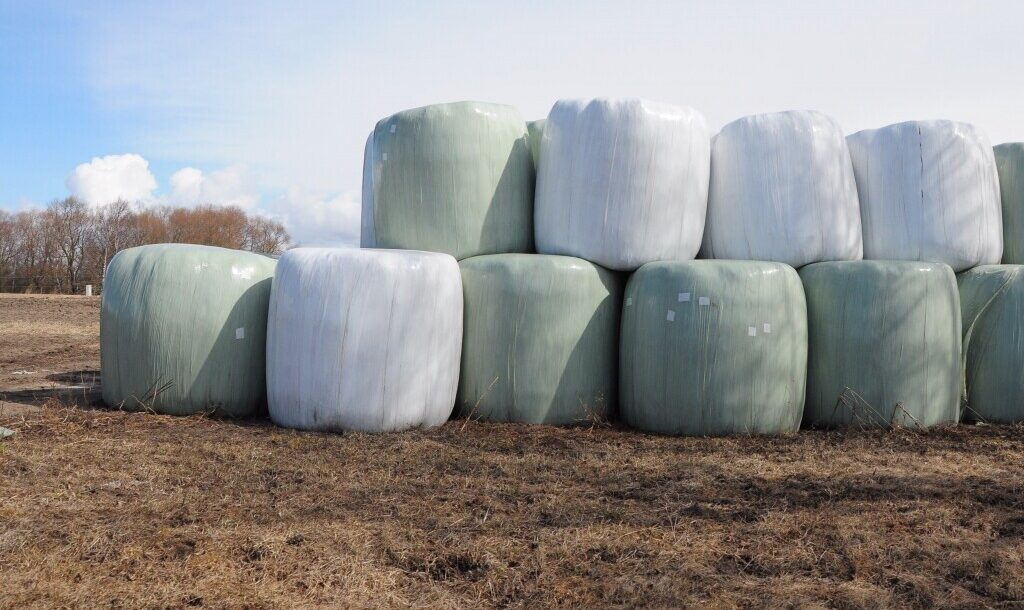 Lauksaimnieki plēves un plastmasas kannas vairs mežā nemet