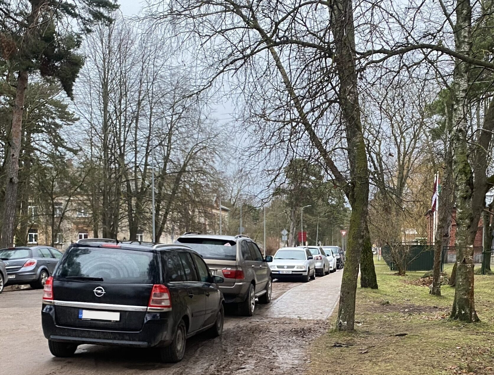 Plāno trīs koku ciršanu Pulkveža Brieža ielā