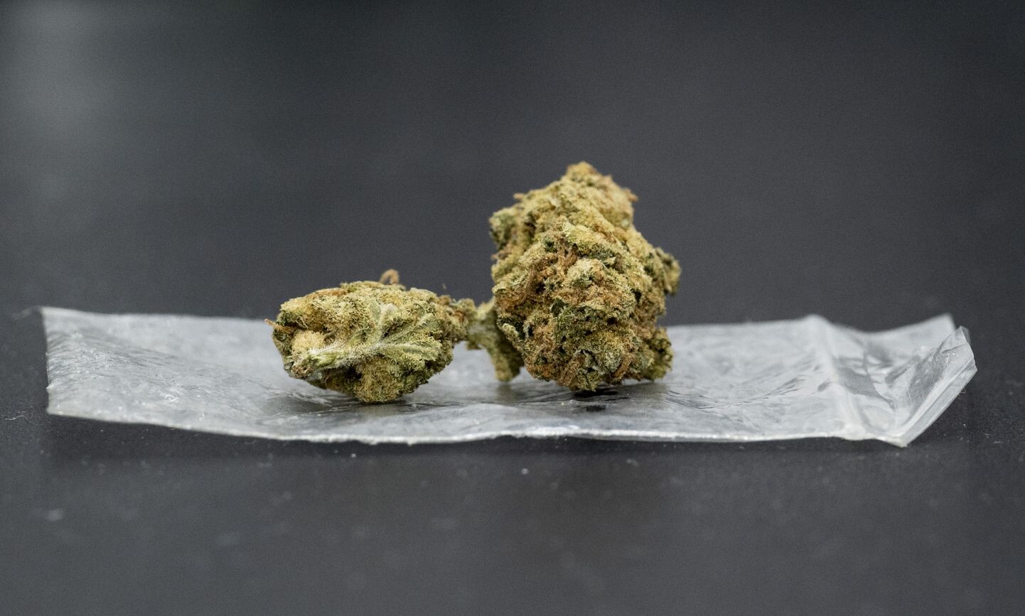 Vācijas valdības solījumu līdz 1. aprīlim legalizēt marihuānu apdraud sociāldemokrātu ķildas