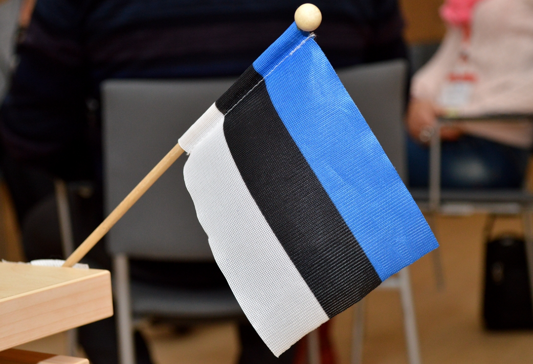 Igaunijā EP vēlēšanas sākas ar tehniskām problēmām tiešsaistes balsošanas platformā