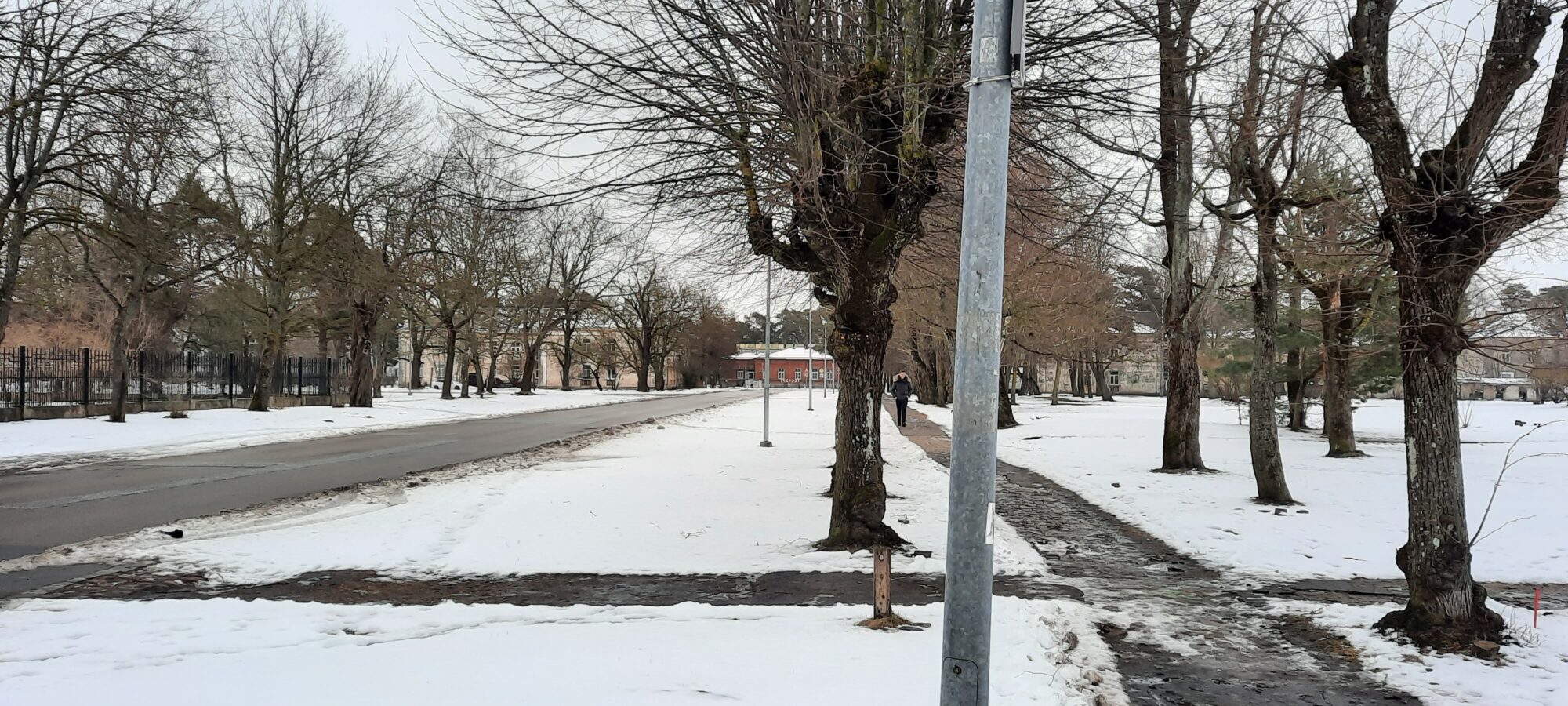 Studentu rotas ielā šogad taps jauna ietve
