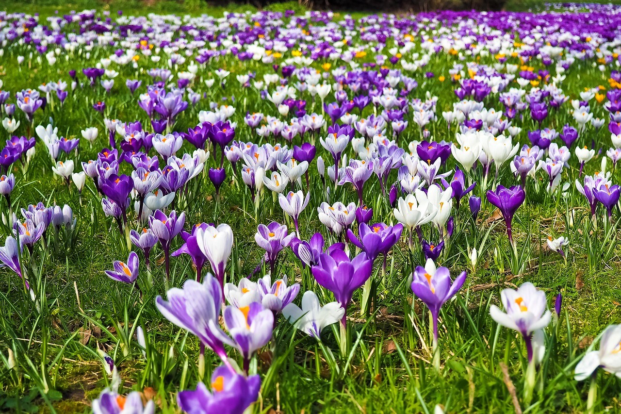 Diena kļūst garāka par nakti